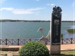 -丁香湖公园