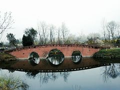 -白鹭湾湿地公园