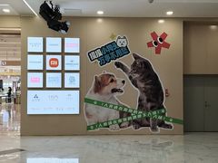 -凯德MALL(望京店)