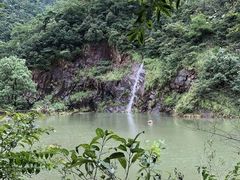-大奇山国家森林公园