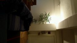 android_upload_pic-无界瑜伽普拉提