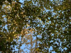 -杭州西湖湖滨银泰亚朵酒店