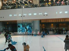 -TheRink大零溜冰场(IFS国金中心店)