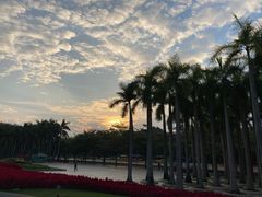 -深圳国际园林花卉博览园