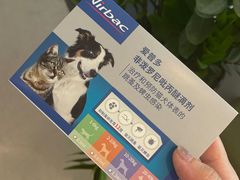 -御宝贝·A梦猫科宠物医院(国际猫友好医院)