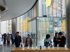 门面-Apple零售店(王府井店)
