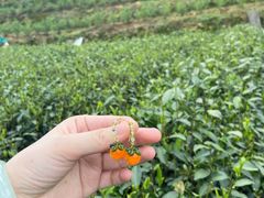 -龙坞茶村