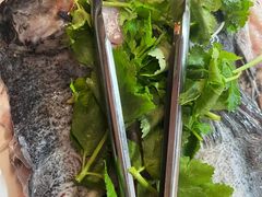 -蜀滋香鲜鱼美蛙火锅(339店)