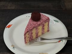 -竹子咖啡bamboo coffee