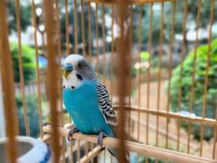 -蒙蒙狮蒙台梭利儿童之家