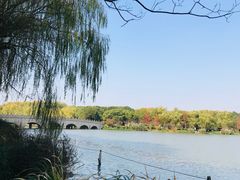 -昆山城市生态森林公园