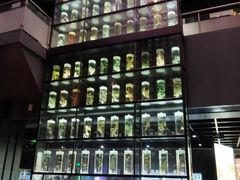 -广东中医药博物馆