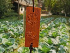 -乌村