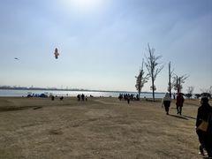 -漕湖湿地公园