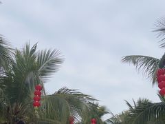 -中国第一滩