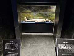 -亳州博物馆