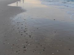 -黄金海岸