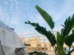 -天空花园餐吧·生日·团建(南山店)