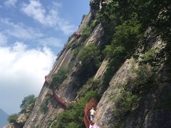 -陕西省红河谷森林公园