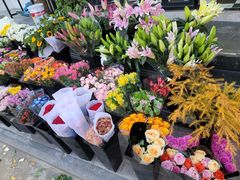 -宝鸡东道花鸟鱼虫市场(吉利花园商场店)