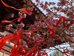 -西安青龙寺遗址景区