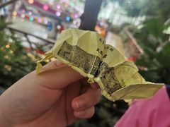 -南宫五洲植物乐园