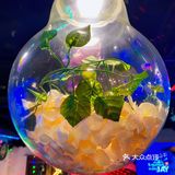 北京探店｜桃花源里撸烤串 都市夜生活推荐