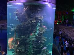 -蓬莱欧乐堡海洋极地世界