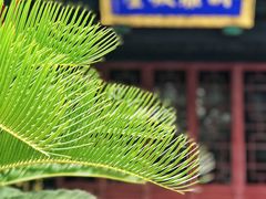 -保定直隶总督署博物馆