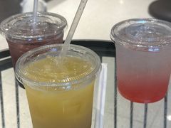 -飞行喵MR PILOT|猫舍·猫咖(静安大融城店)