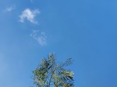 -大罗山风景区