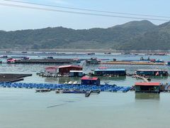 -北岐滩涂