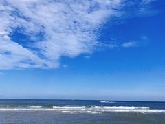 -日照海滨国家森林公园