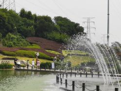 -珍珠泉水上世界