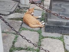 -溱湖八鲜菜馆