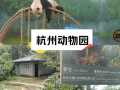 -杭州动物园