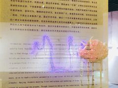 -金茂览秀城