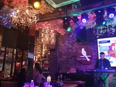 -喜鹊音乐酒馆(西街店)