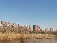 -前关湿地公园