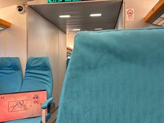 -龙阳路磁悬浮列车总站-停车场