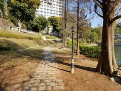 -大埔公路-马料水段香港中文大学(公交站)