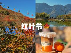 -坡峰岭