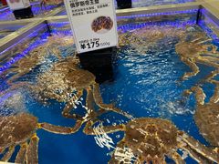 -盒马X会员店(上海森兰商都店)