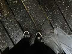 -月湖风景区