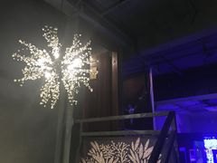 -蜉蝣酒吧(仓山万达店)