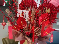 -关爱宠物医院·猫科中心·消化科(滨湖万达分院)