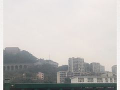 -菜园坝水果市场