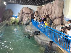 -福州罗源湾海洋世界旅游区