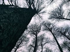 -硗碛藏寨·神木垒景区