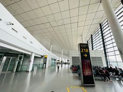 -郑州新郑国际机场-T2航站楼